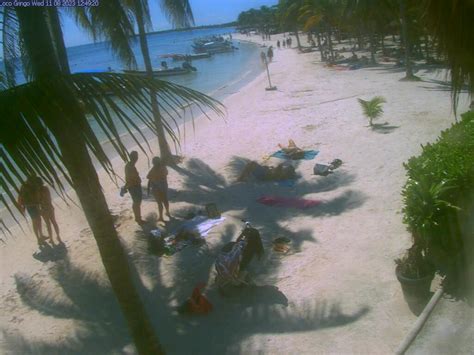 akumal bay webcam|Akumal, Mexico Live Webcam